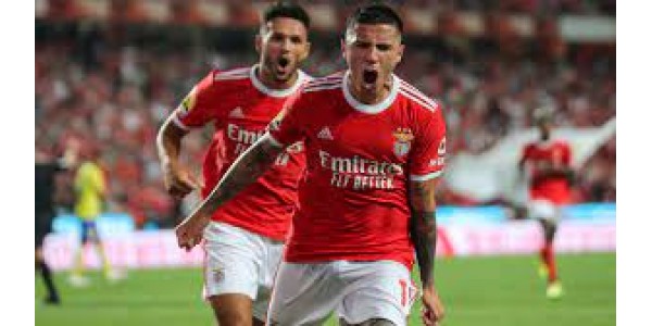 Nouvelle parcelle du transfert d'Enzo Fernández